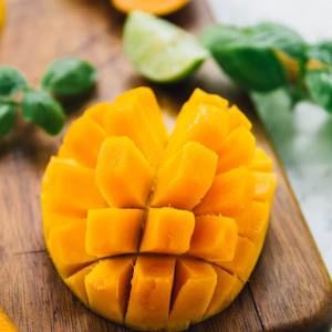 Meet your Posher, Xia